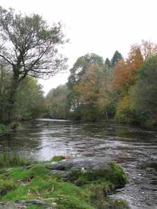 Autumn Colours on The River Dart-1